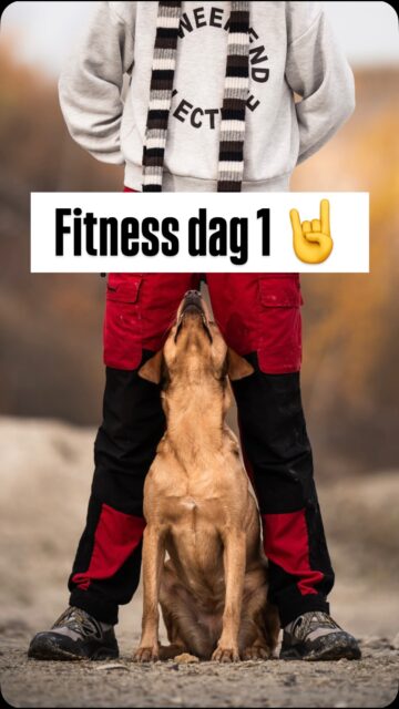 Jeg erkender blankt, at jeg ikke har videre talent for det der “influencer-hejs” 🤣

Vi øver os! Både Pepsi og jeg 😉 Og det gælder for både fitness-delen og videografien. 

Når jeg optager og genser min træning, opdager jeg altid efterfølgende en del ting, der trænger til rettelser. Men det er det gode ved at få det dokumenteret. Ikke mindst for også senere at kunne se sine fremskridt 😎

For fremtiden vil der blive delt indblik i både fitness, fysioterapi og servicehundetræning.

Lyder det interessant? Så gå ind og følg siden!

#hundefitness #hundetræning #hundefysioterapi #dogfitness #dogtraining