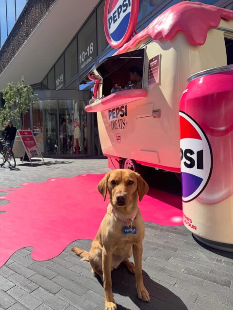 Vi fandt den! Den mytiske Pepsi-vogn! 

Vi morer os i høj grad over den nye Pepsi-reklame herhjemme og får meget sjov ud af, at tøsen da må være definitionen på “Pepsi but cute” 😂

Jeg havde gerne taget nogle lidt bedre billeder, men vi fik sceneskræk over de mange folk, der var betagede af den fancy lyserøde vogn 🤣

Here’s to hoping vi møder den igen et andet sted i byen!

#pepsi #pepsibutcute