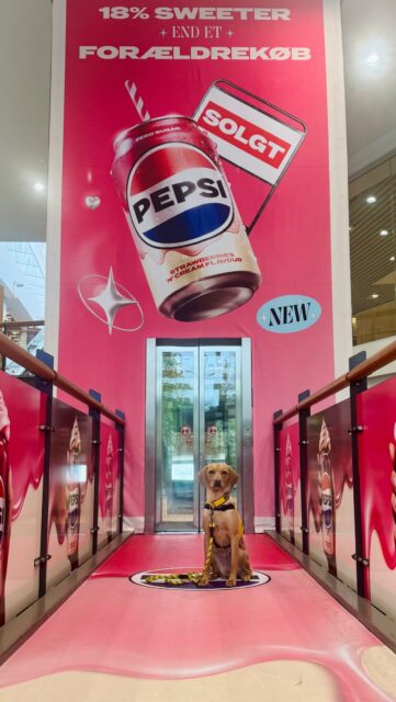 Endnu mere Pepsi!!

Ja, vi hygger os stadigvæk med det 🤣

@frbcshopping 

#pepsi #pepsibutcute #servicehund #servicedog